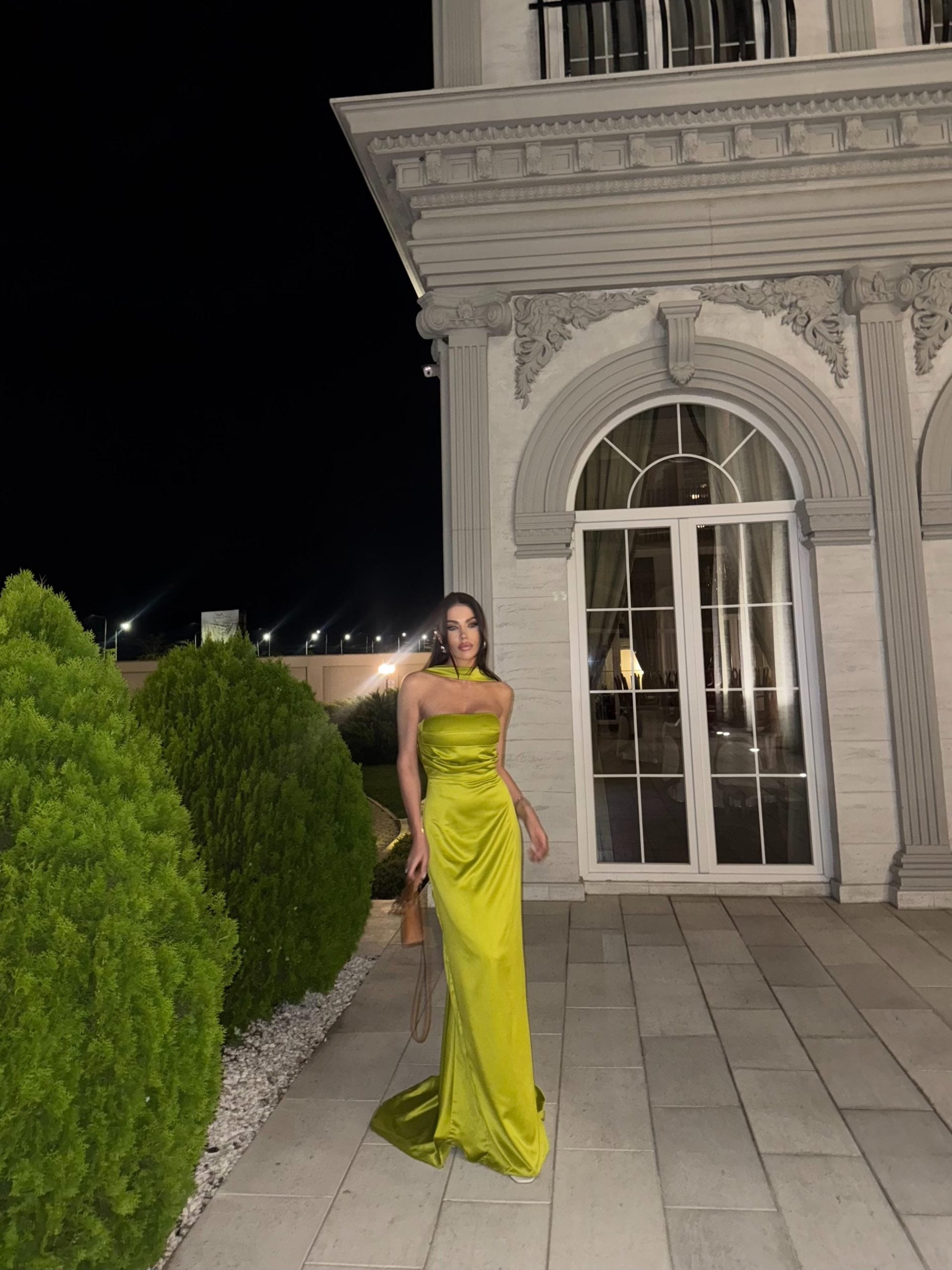 Anastelle Dress