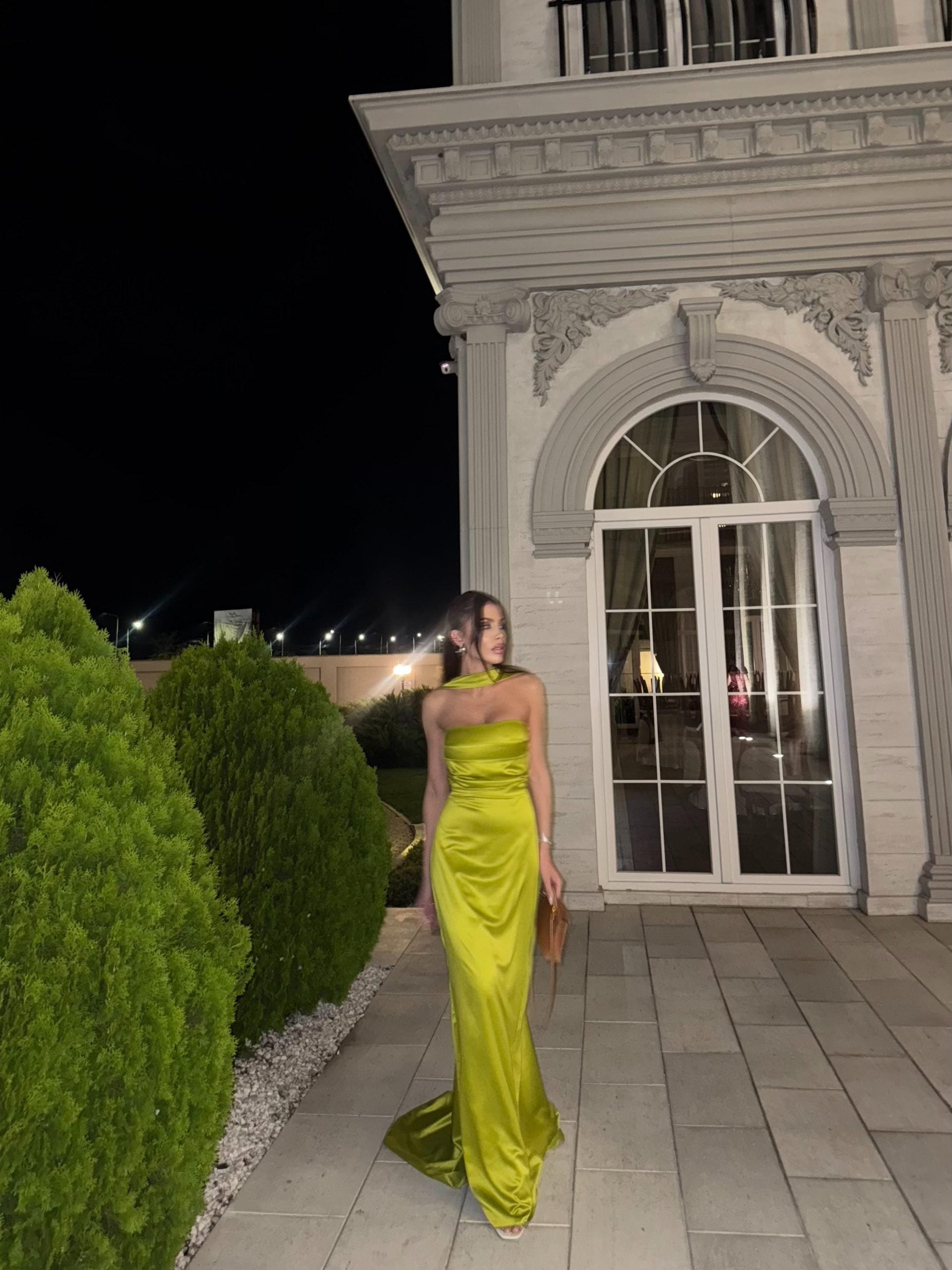 Anastelle Dress