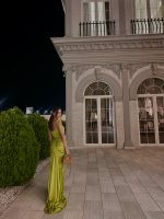 Anastelle Dress - imagine 4