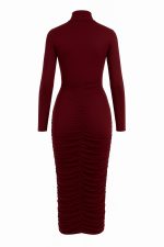 Kelly Dress Burgundy - imagine 2